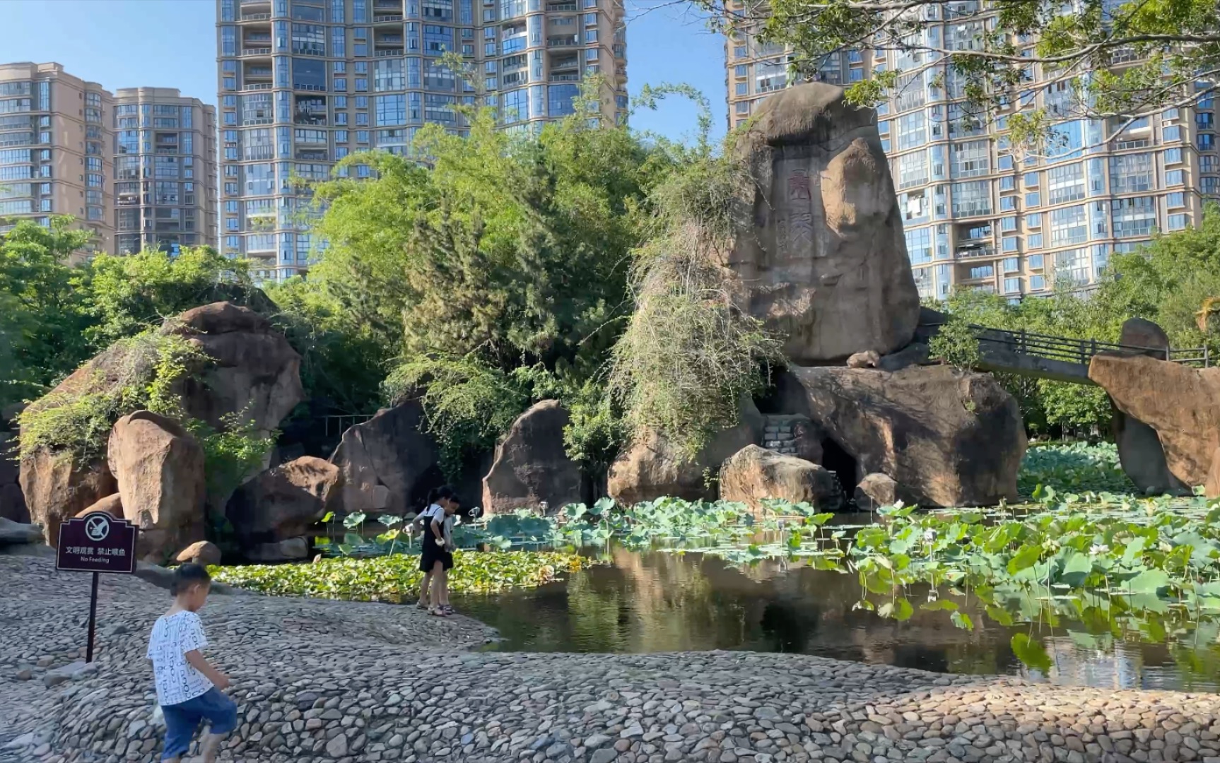 漫步|泉州 刺桐公园|夏季 晴天 午后|荷花开啦_哔哩哔哩_bilibili