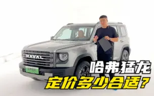 Télécharger la video: “20万元以内的新能源越野SUV”哈弗猛龙，跟大狗系列有何不同？