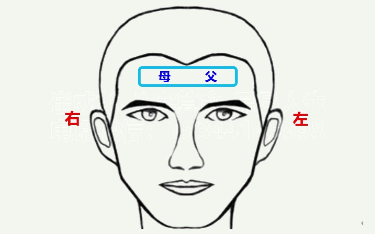 面相十二宫分野哔哩哔哩bilibili