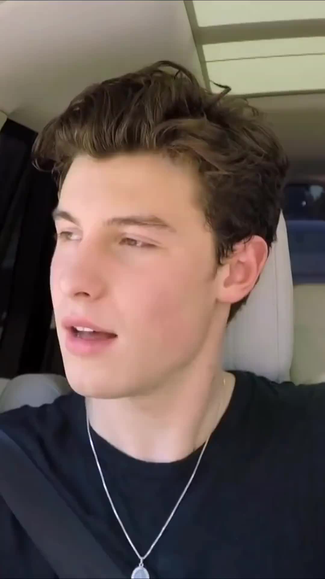 [图]TheresNothingHoldinMeBack shawnmendes 柯登拼车秀 欧美音乐 哈哈好开心