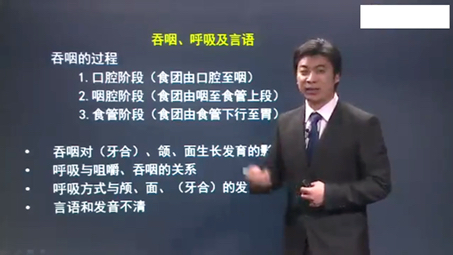 口腔解剖学 0402 咀嚼运动、吞咽,呼吸和言语,唾液分泌,口腔感觉哔哩哔哩bilibili