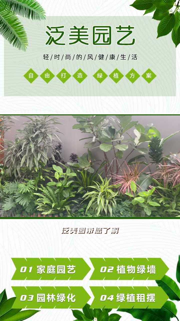 可上门施工 植物墙围挡 人造景观绿墙 #植物绿墙 #河西植物绿墙 #河西植物绿墙多少钱哔哩哔哩bilibili