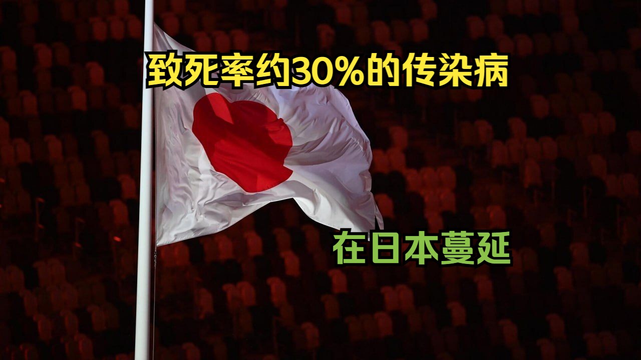 致死率约30%的传染病在日本蔓延哔哩哔哩bilibili