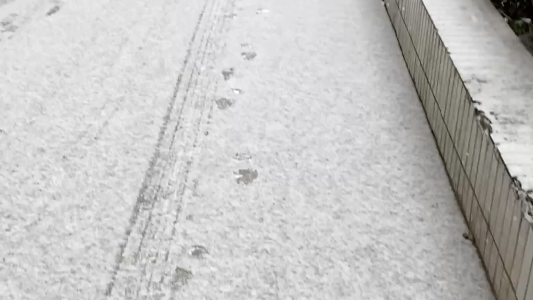 [图]冬意渐浓 大雪已至 万物冬藏待春来