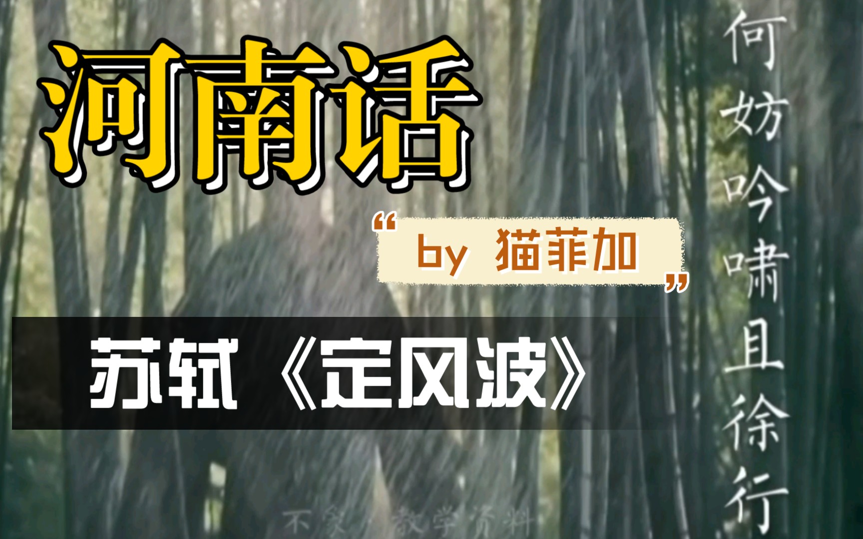 【河南话】洒脱超然豪放风 | 苏轼《定风波》东坡先生 搏击风雨笑傲人生的胸怀令人叹服哔哩哔哩bilibili