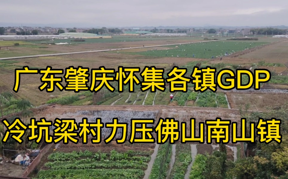 广东肇庆怀集各镇GDP,冷坑梁村经济实力强,力压佛山三水南山镇#肇庆怀集 #怀集路茫 #佛山三水哔哩哔哩bilibili