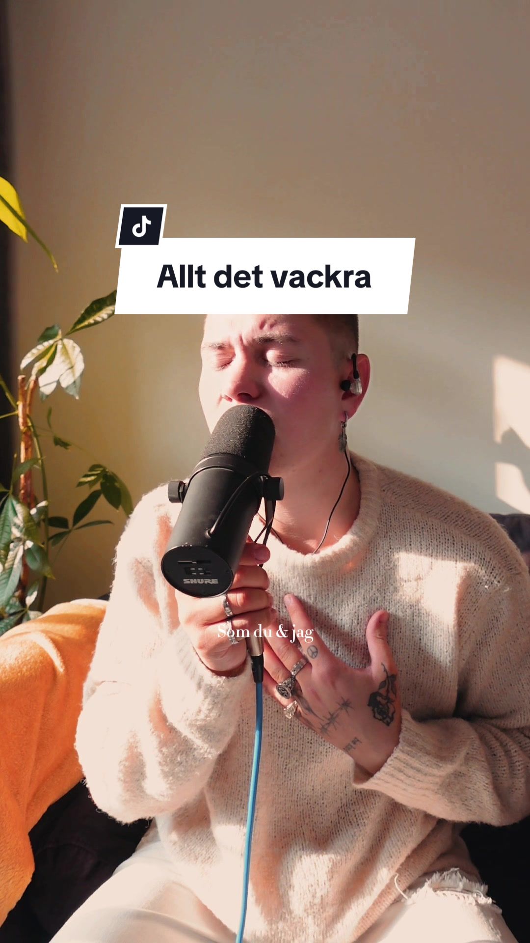 allt det vackra ~ cover 0691 @benjamin ingrosso