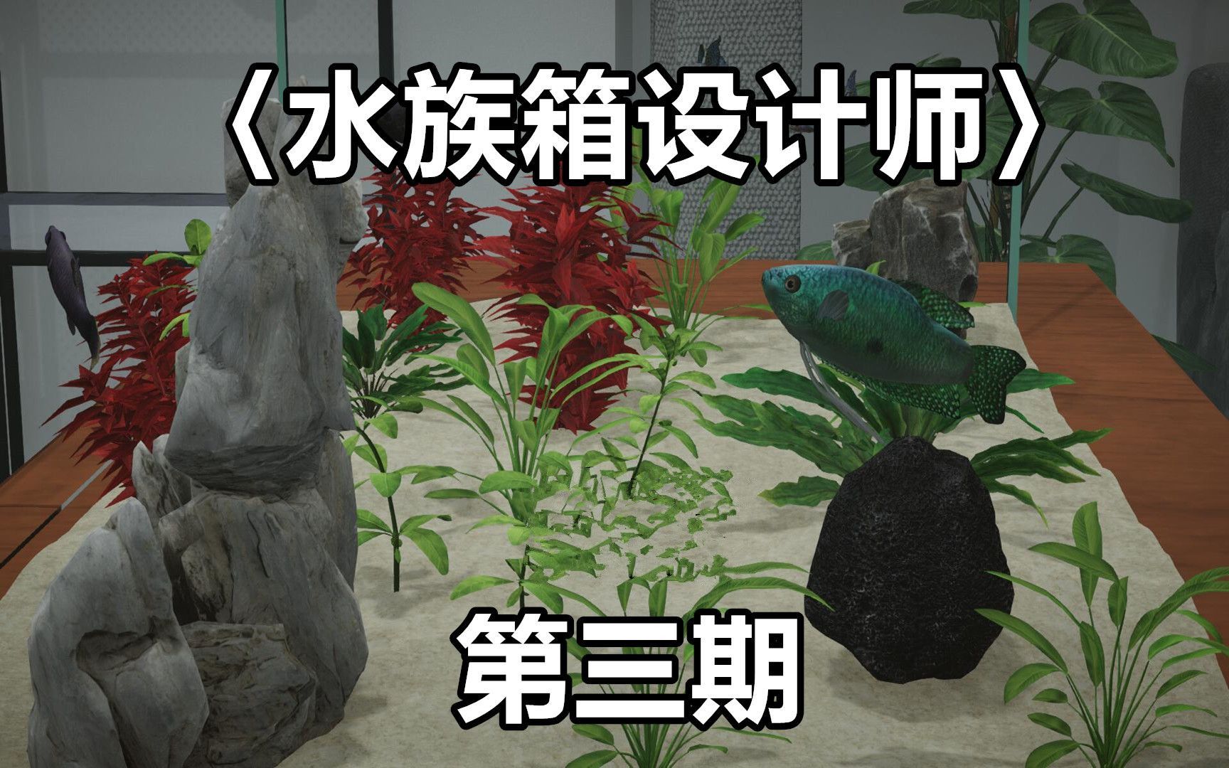 [图]【千面小生】发挥想象力和创造力来打造属于你独一无二的水族箱吧！《水族箱设计师》第三期