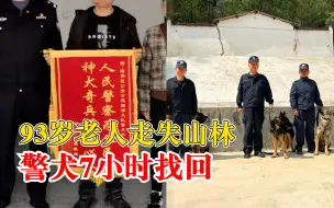 Video herunterladen: 汪汪队立大功！93岁老人走失山林警犬7小时找回