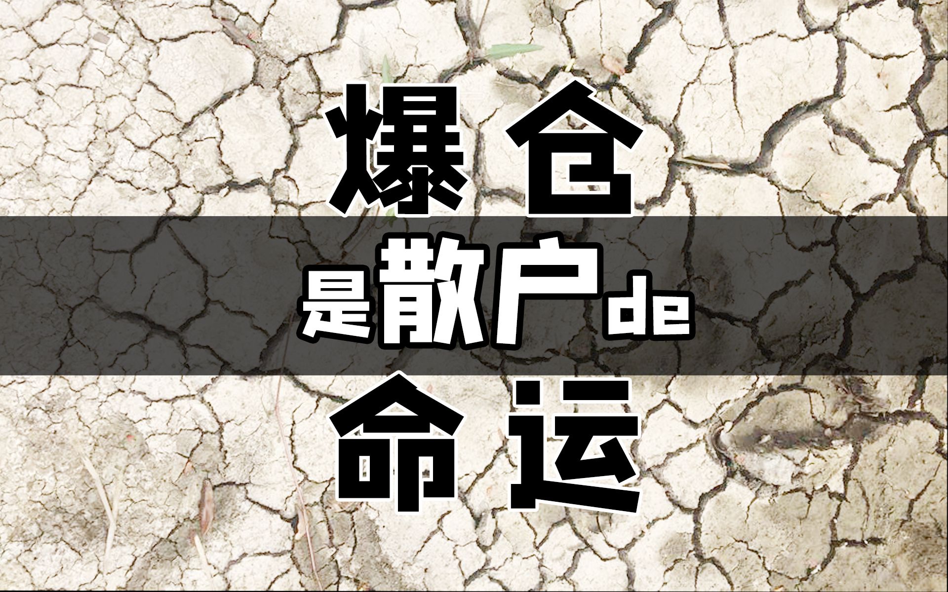 活动作品爆仓是散户的命运纯享投资08王纯迅