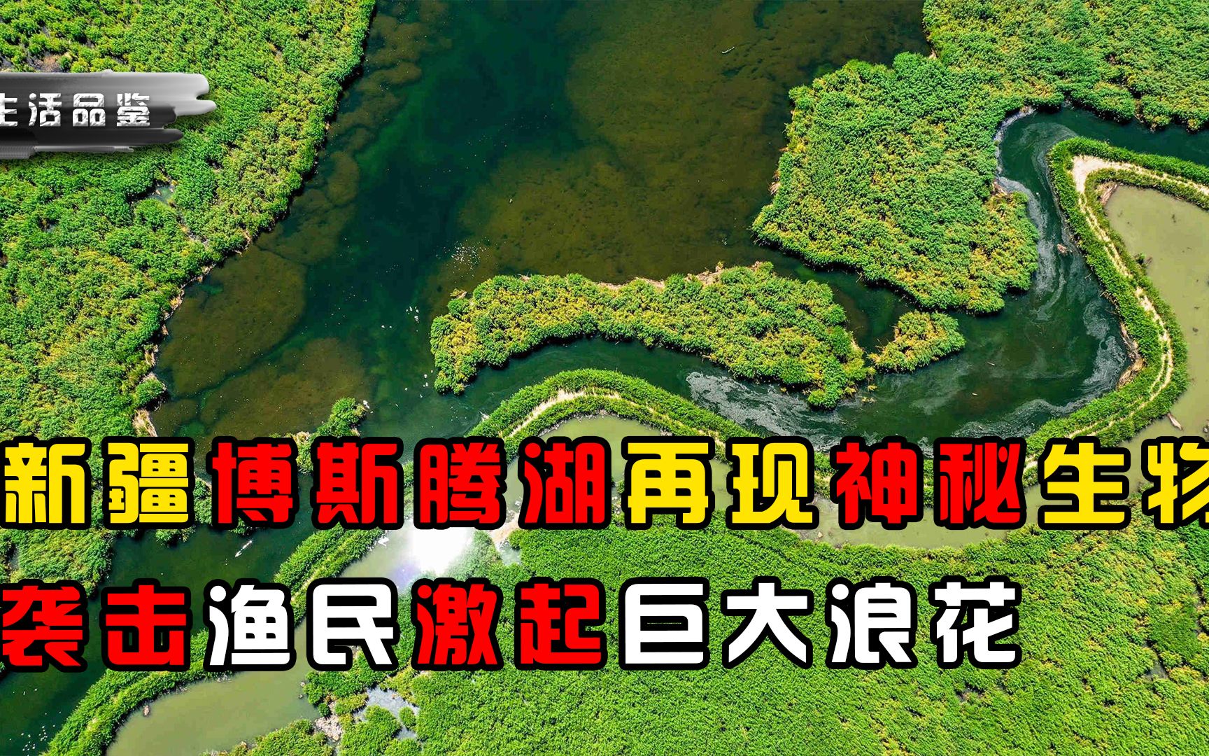 博斯腾湖出现神秘生物,渔民遭遇袭击,难道是水怪现身?