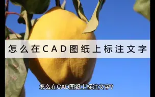 Download Video: 怎么在CAD图纸上标注文字？这个方法用了都说好