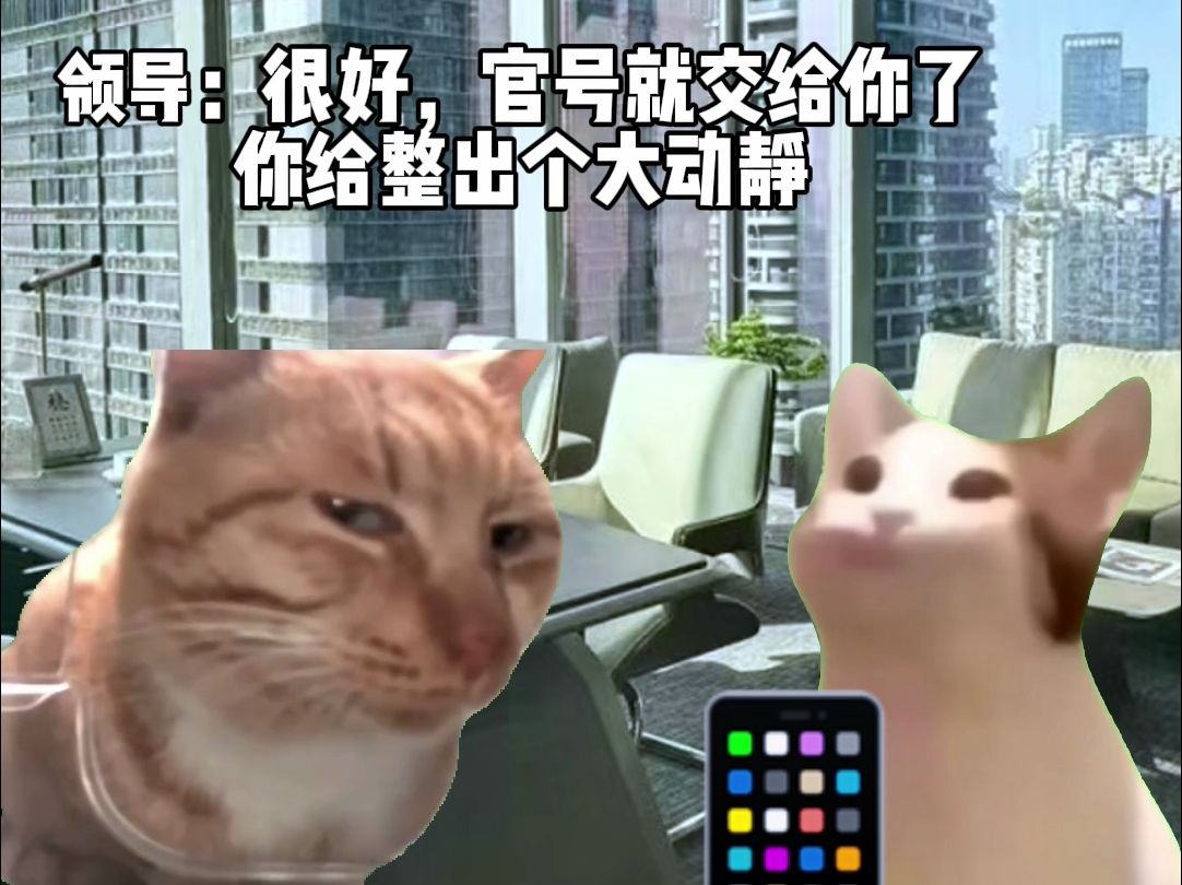 【猫meme】广州电信B站官方号落到00后手里了,嘿嘿~哔哩哔哩bilibili