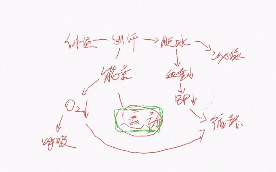 [图]【生理学总结】粗暴简单的临时抱佛脚