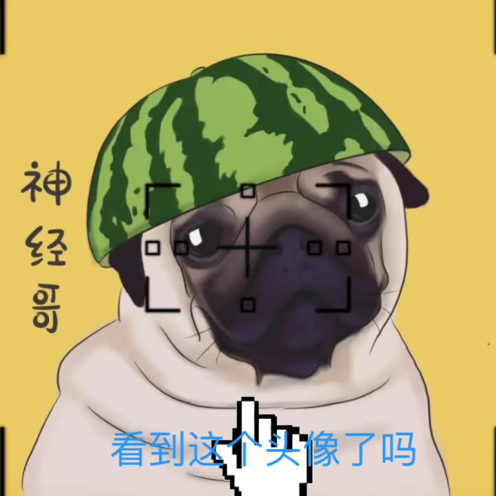 神经哥!!!哔哩哔哩bilibili