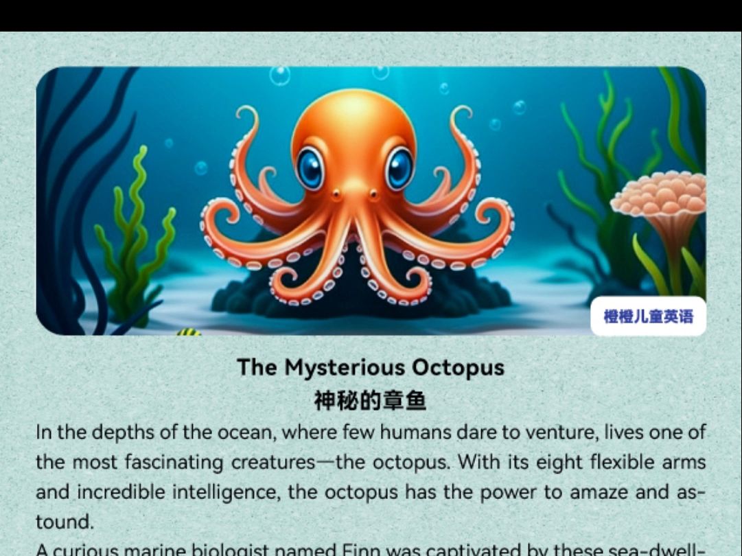 the mysterious octopus 神秘的章鱼