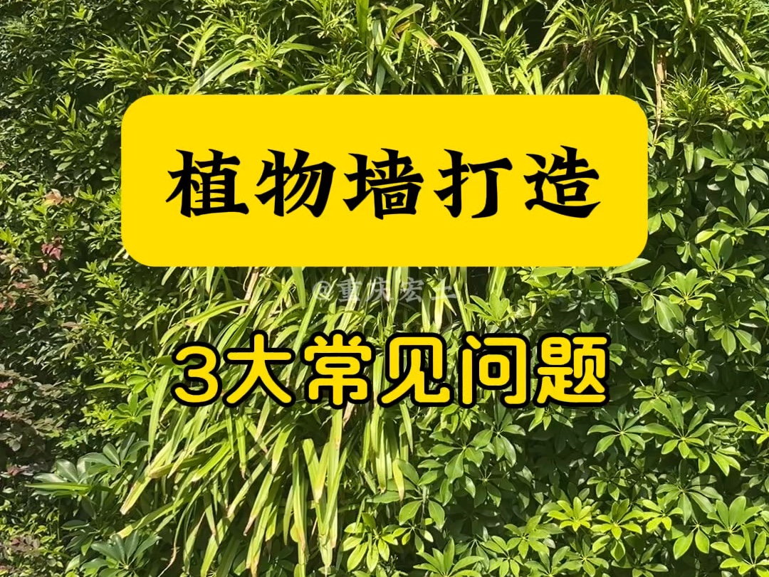 植物墙打造3大问题?教您一招解决难题.#边坡绿化 #生态修复 #护坡绿化 #固化纤维土 #植物墙哔哩哔哩bilibili