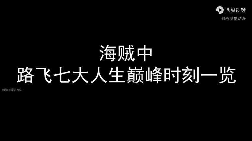 路飞七大后宫一览哔哩哔哩bilibili