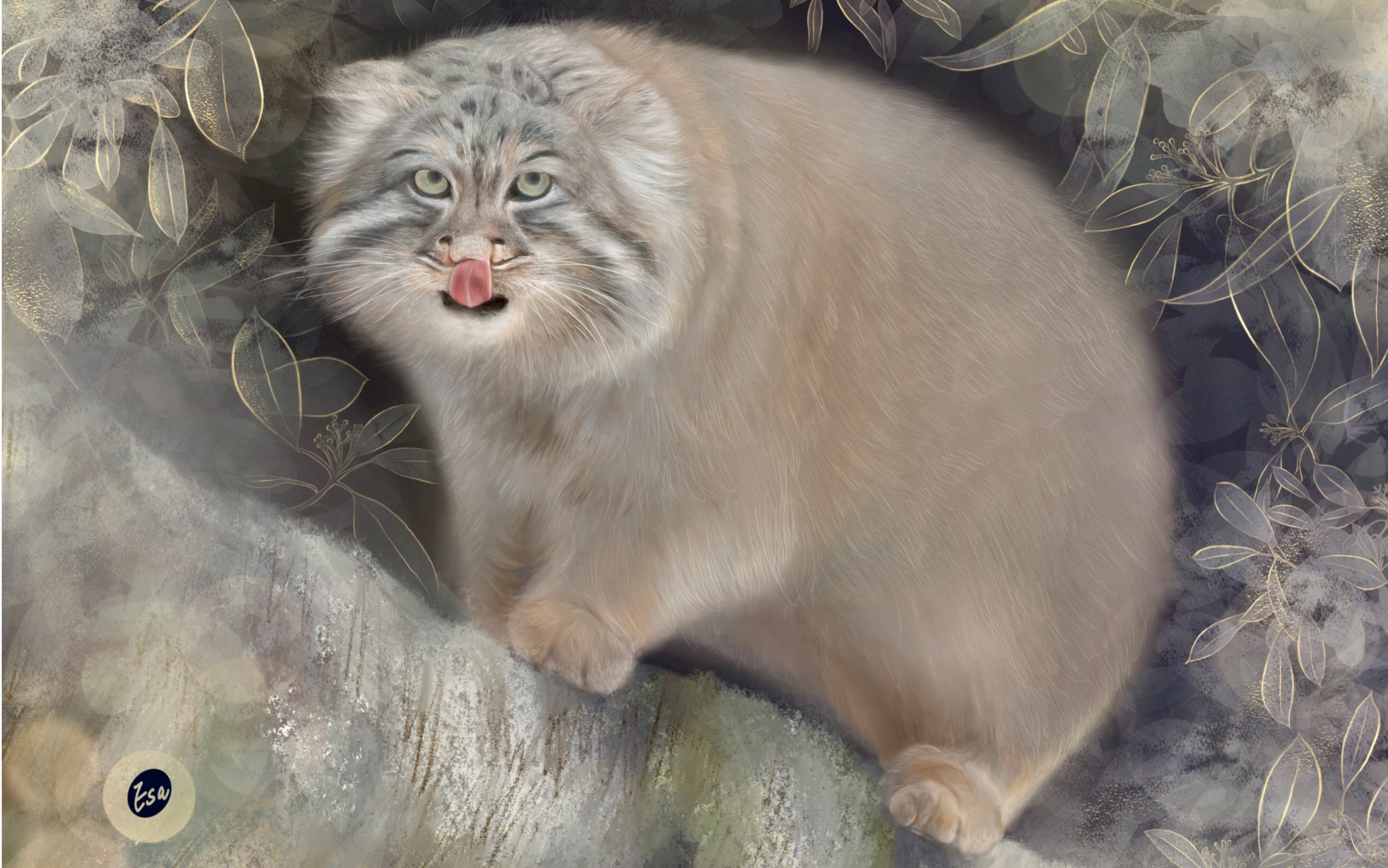 画了两周的一只兔狲