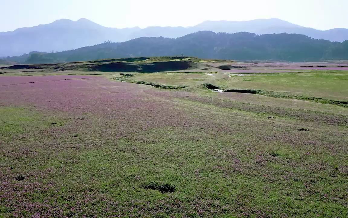 [图]桂林青狮潭公平湖花海