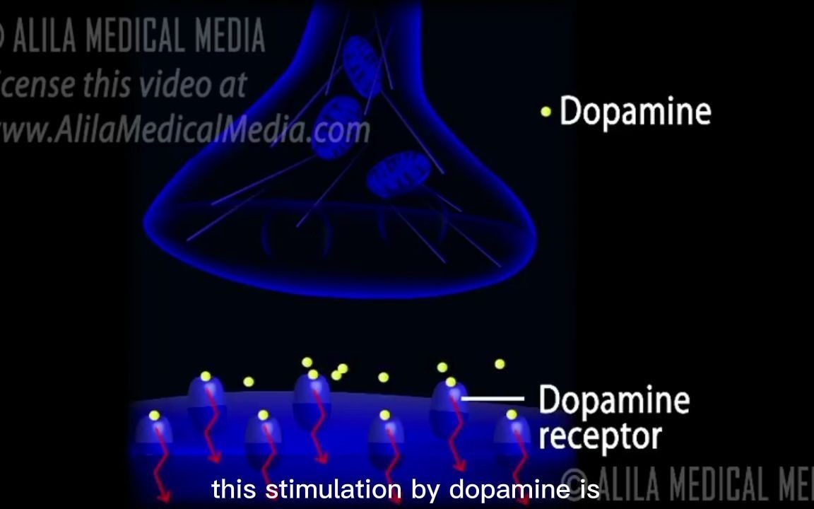 [英文字幕] 毒品成瘾的机制 Mechanism of drug addiction in the brain哔哩哔哩bilibili