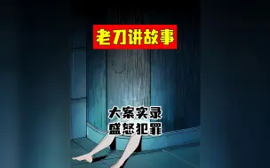 Download Video: 老刀讲故事：大案实录