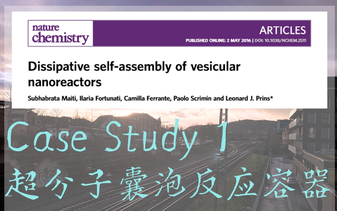 【Case Study 1】超分子囊泡反应容器 selfassembly vesicular nanoreactor哔哩哔哩bilibili