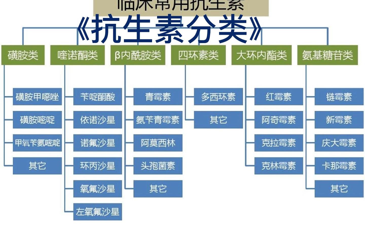 《抗生素分类》