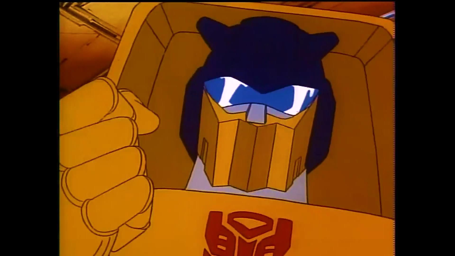 金飞虫,口罩是曲折有造型的【变形金刚】