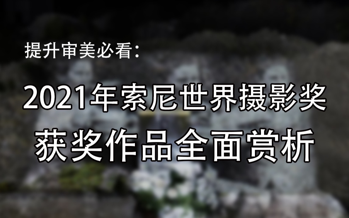 [图]【最全】2021年索尼世界摄影奖获奖作品全面赏析，每一张都值得反复观看！