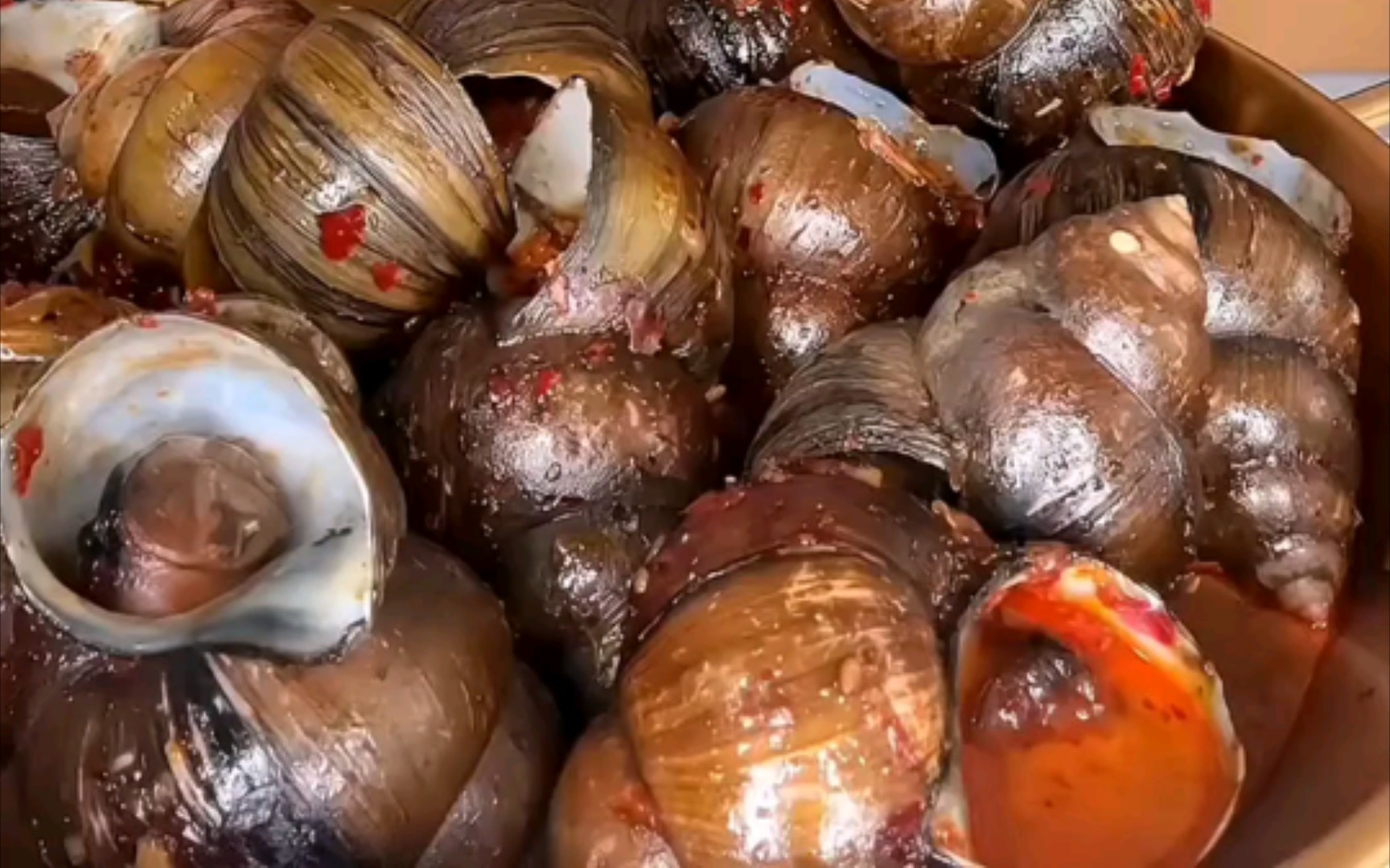 比鸡蛋还大的大田螺!