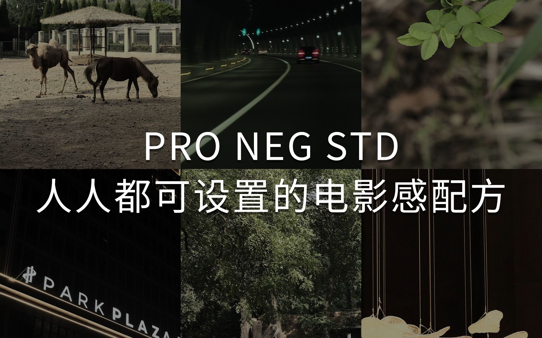 富士Pro Neg. Std这款胶片模拟,大家应该都有吧.快来试一下今天这款低饱和高对比的配方吧.直出电影感照片哔哩哔哩bilibili