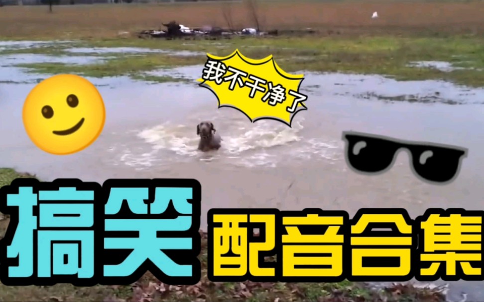 日本搞笑沙雕配音图片