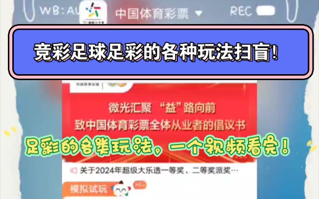 欧洲杯马上来了,简单讲讲足彩玩法,足球玩法,胜平负让球总进球半全场