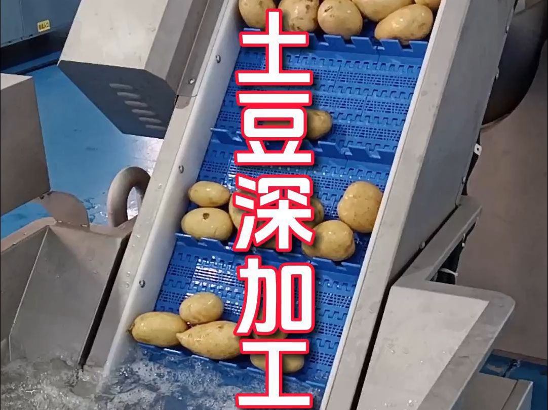 净菜加工过程:土豆深加工生产线