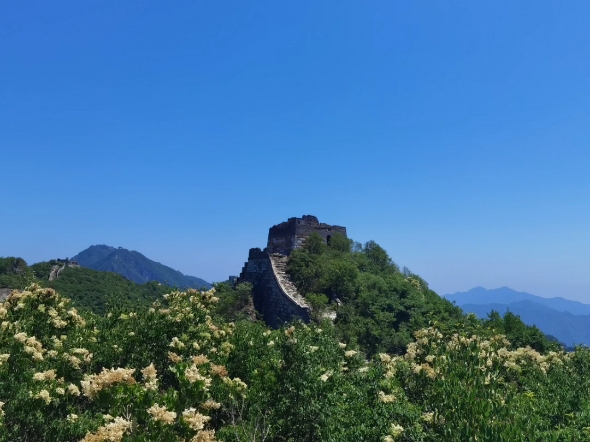 端午爬箭扣长城:天梯-佛头-下鹰飞倒仰-151