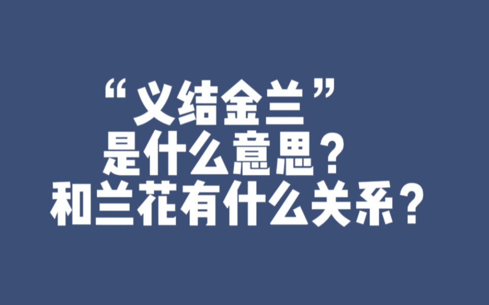 “义结金兰”是什么意思?和兰花有什么关系?哔哩哔哩bilibili