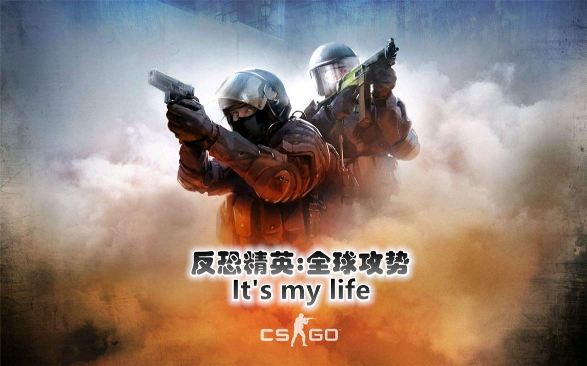 [图]反恐精英：全球攻势CSGO-It's my life