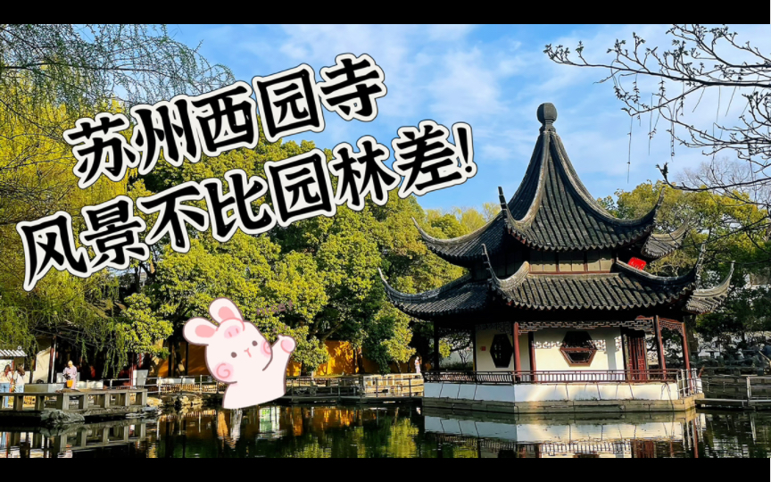 苏州西园寺只是一个寺庙?No!咱的风景不比园林差~哔哩哔哩bilibili