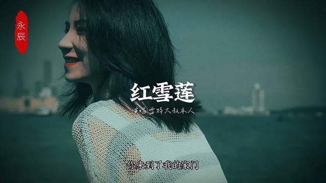 经典情歌,红雪莲.痛苦的心绪难以再表白.