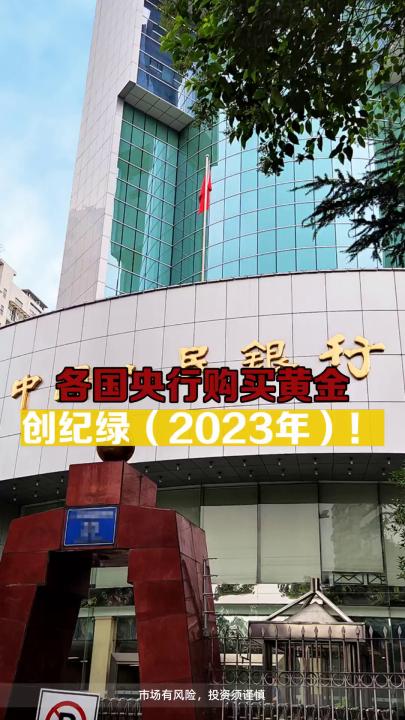 各国央行购买黄金创纪绿(2023年)!哔哩哔哩bilibili