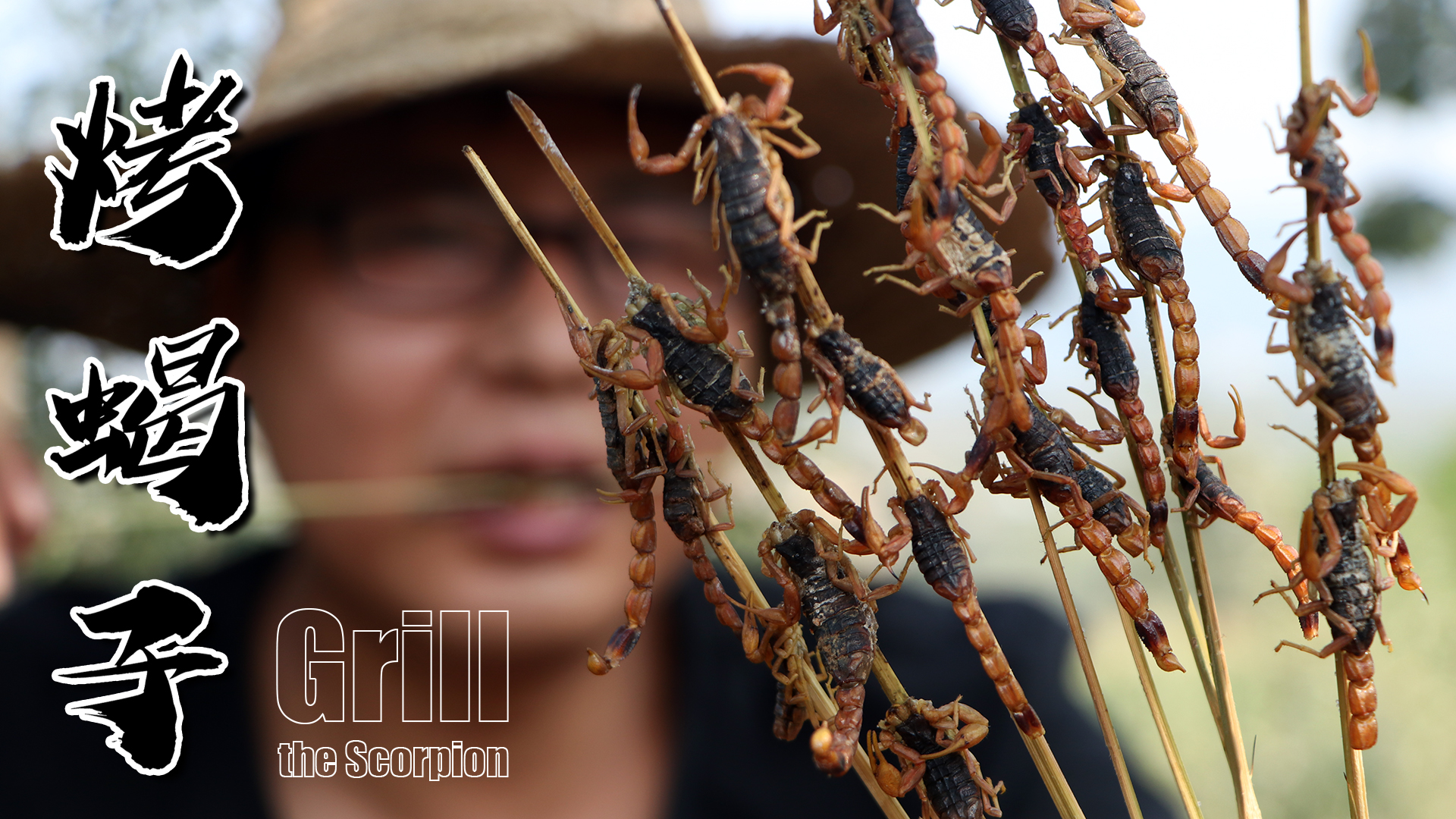 【山野牧哥】牧哥山上抓蝎子烤着吃,又香又脆,直流口水_哔哩哔哩 (゜