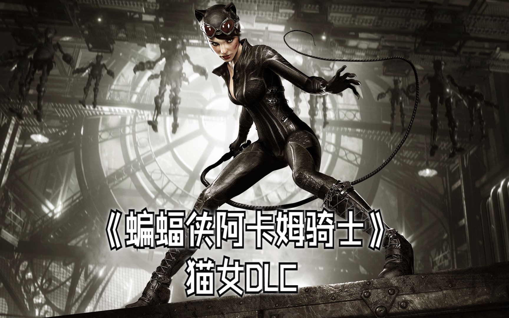 《蝙蝠侠阿卡姆骑士》猫女dlc剧情向游玩