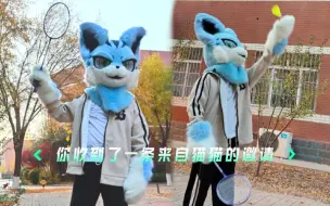 【Fursuit】来和猫猫一起打羽毛球吧！