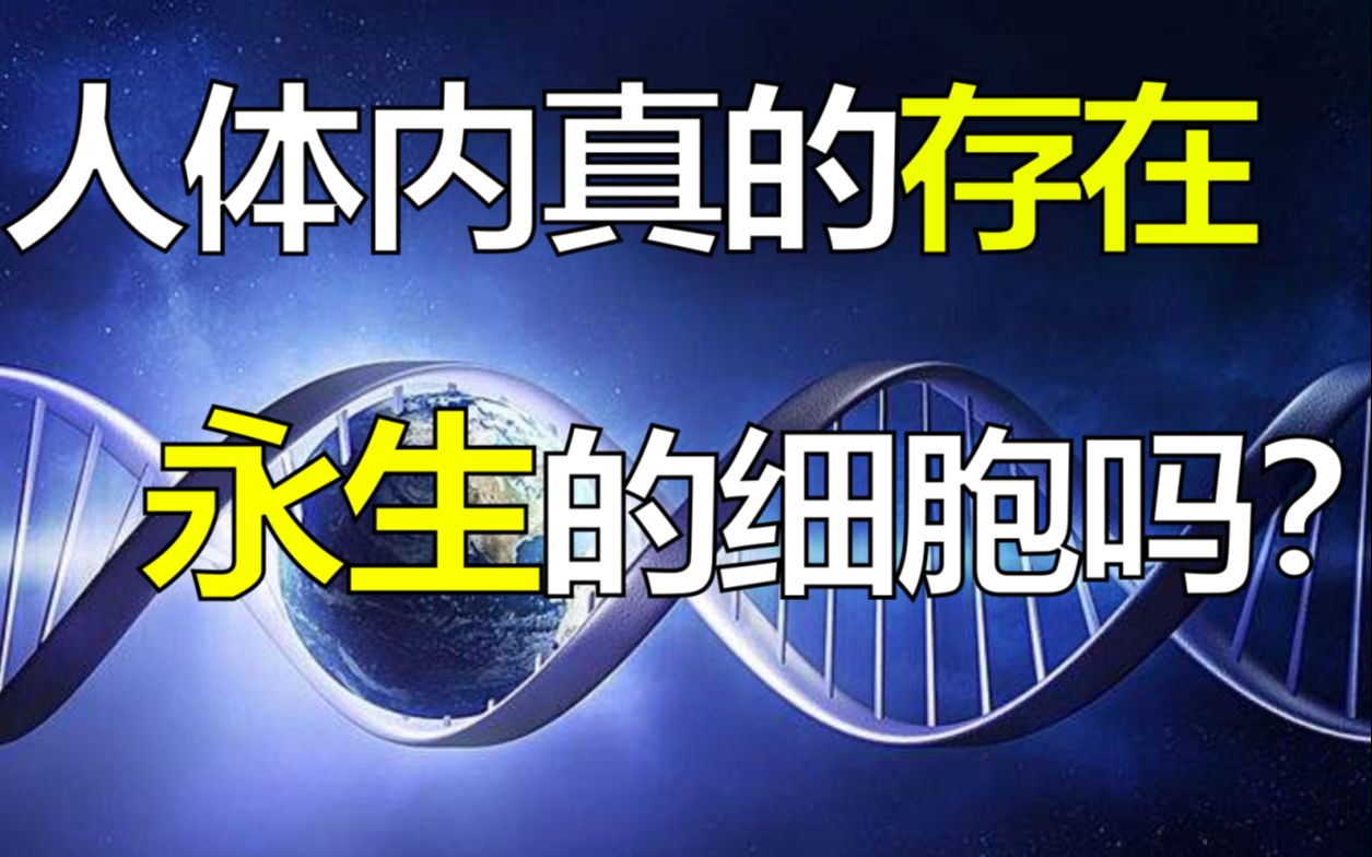 为什么人类无法突破寿命的上限,但体内却能孕育出永生的细胞?【永生的海拉】哔哩哔哩bilibili