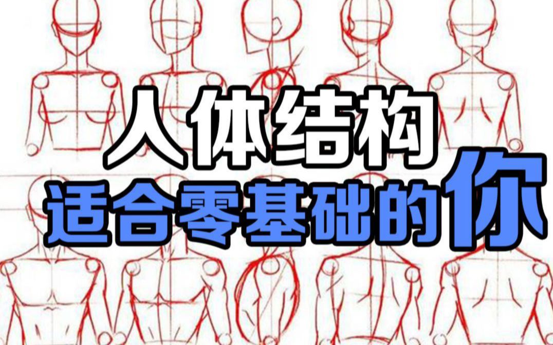 [图]【新人入坑必学】零基础怎么自学人体结构，萌新最需要的人体教学（人体教程合集）