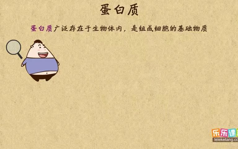 《14》蛋白质哔哩哔哩bilibili