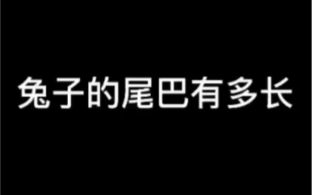 震惊!兔子的尾巴到底有多长?小学课本欺骗了我哔哩哔哩bilibili