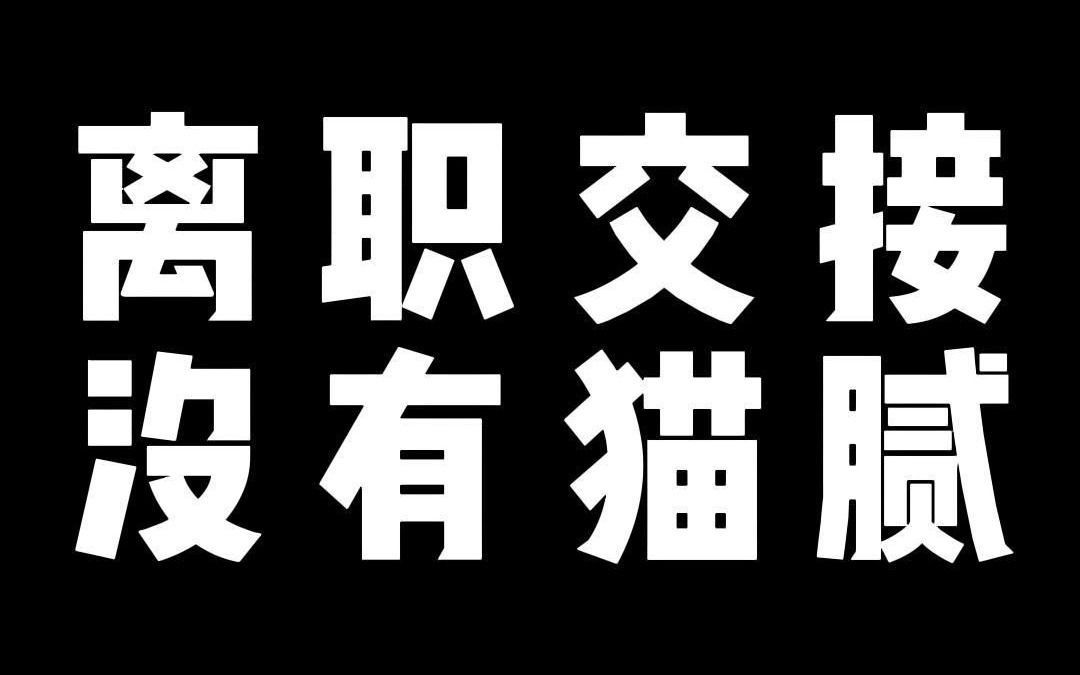 离职交接 没有猫腻哔哩哔哩bilibili