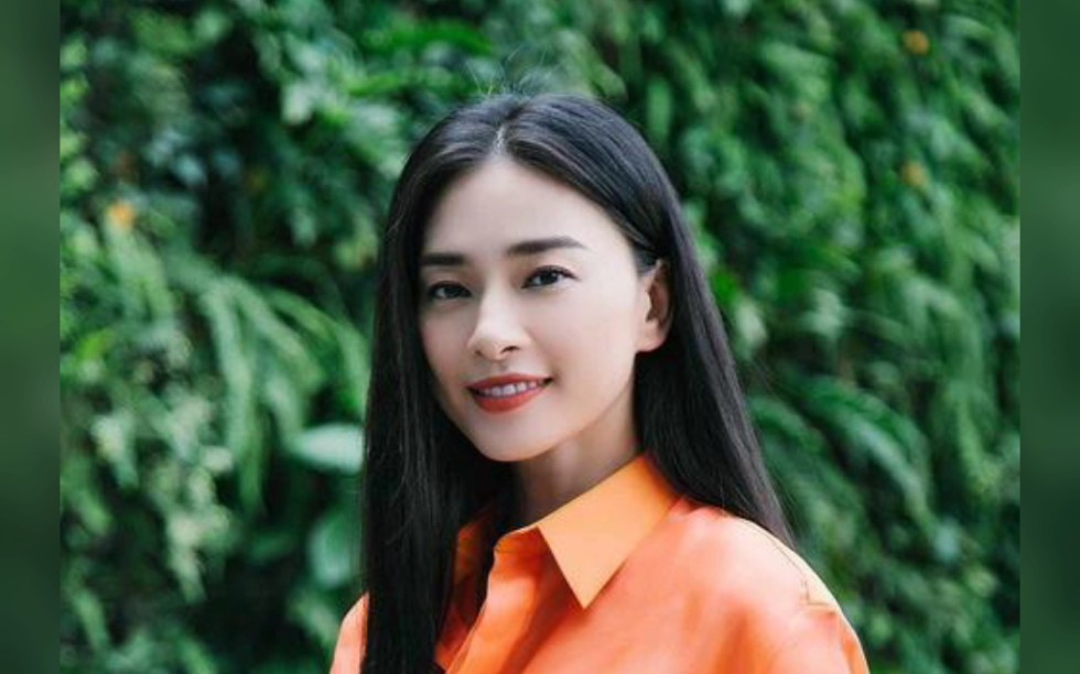 越南十大女影星吴清芸